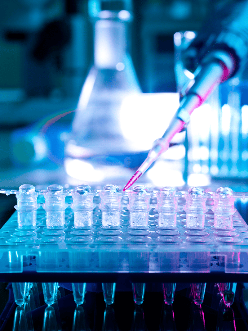 Laboratory testing for dog health, pet diagnostics, and veterinary services.