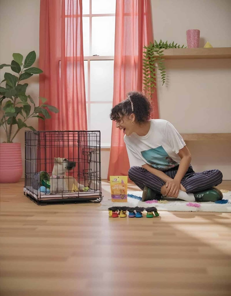 Girl and puppy engaging in training and fun activities at home.
