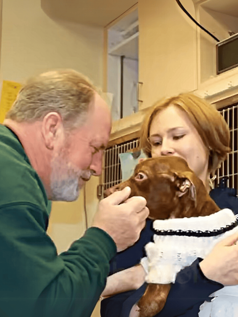 Vet examines a dog, showcasing compassionate pet health care, in a friendly veterinary environment.