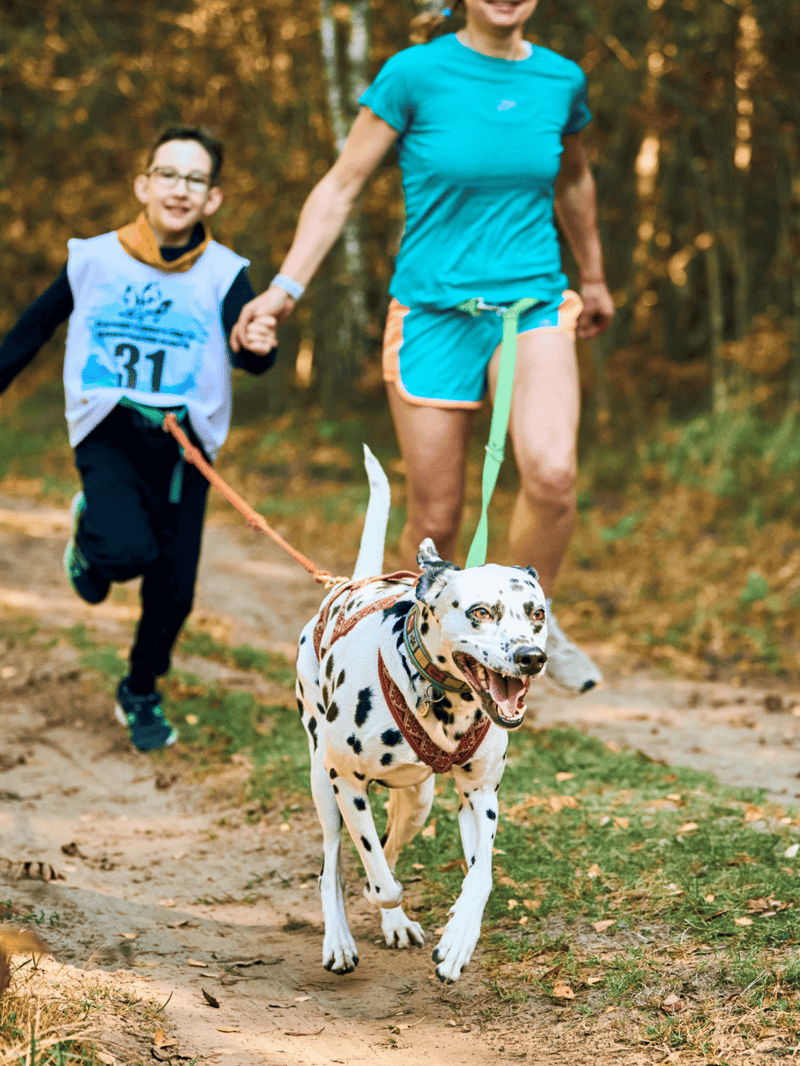 Dog running on a trail during outdoor activity with owner and leash.