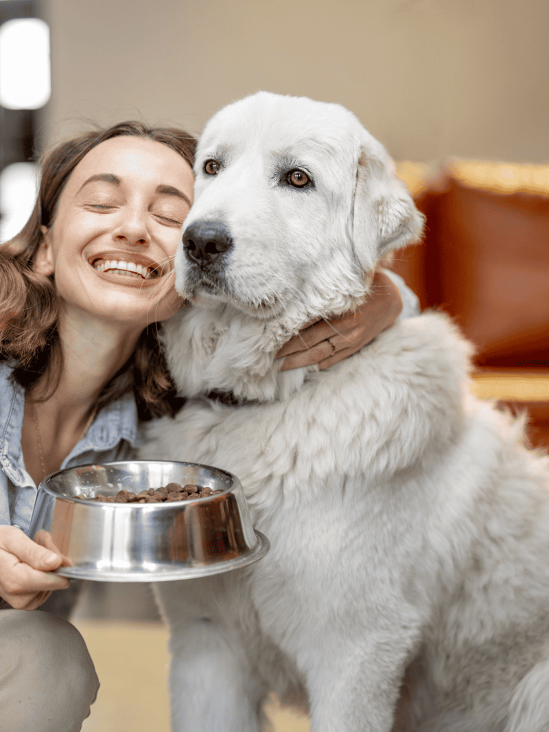 Dog and owner bonding over feeding, showcasing pet care, love, and happiness.