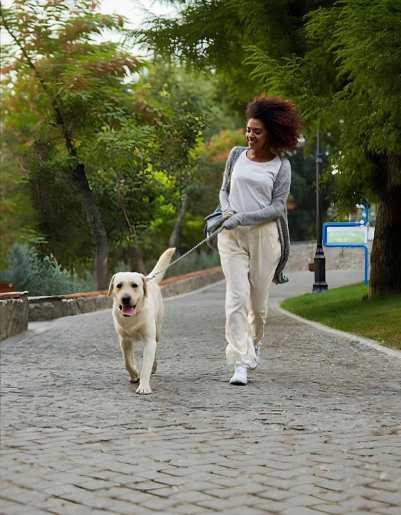 Dog walking, pet care, outdoor activity, healthy lifestyle, dog lover, dog leash.