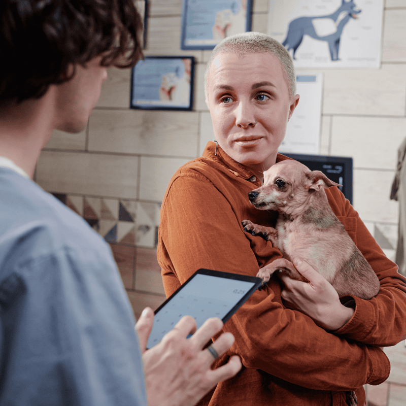 Detailed alt: Vet consultation with owner holding small dog, animal health check, veterinary care, pet wellness examination.