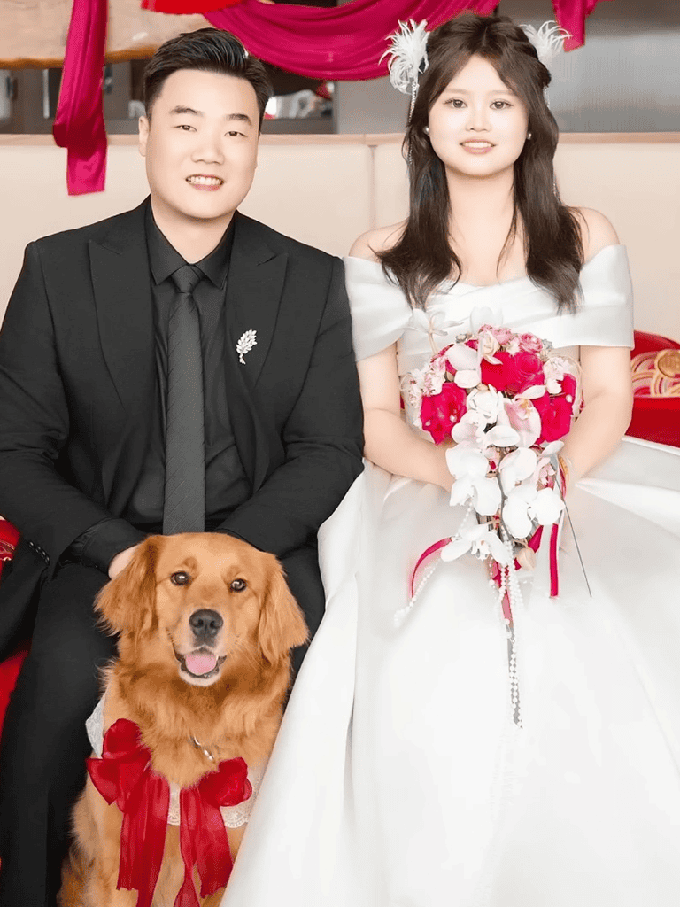 Adorable dog with red ribbon at wedding photoshoot.