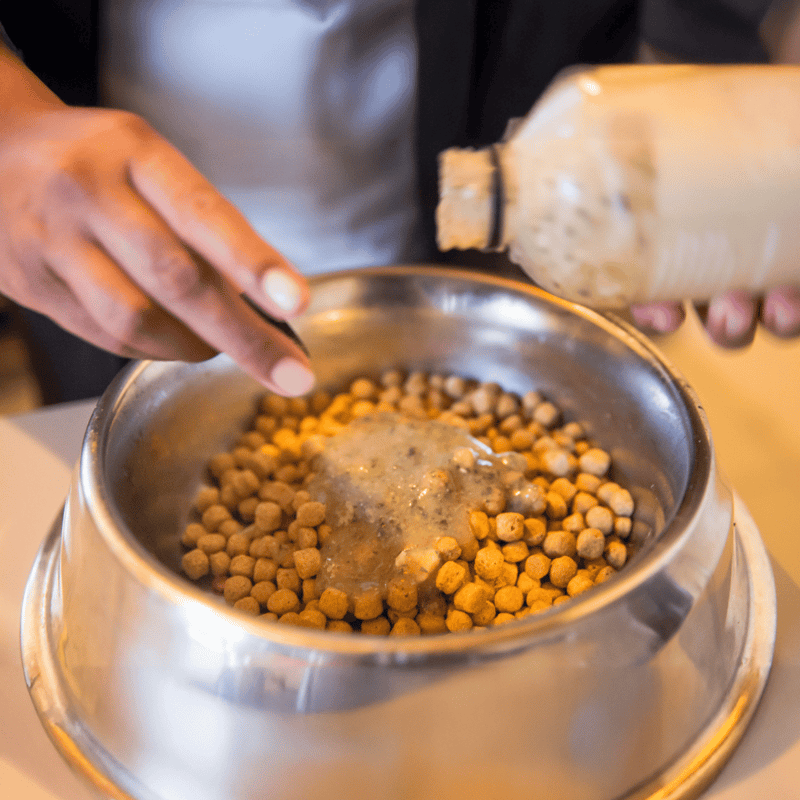 Close-up of dog food being prepared, with hand adding ingredients into a metal bowl, showcasing quality pet nutrition and homemade dog food.