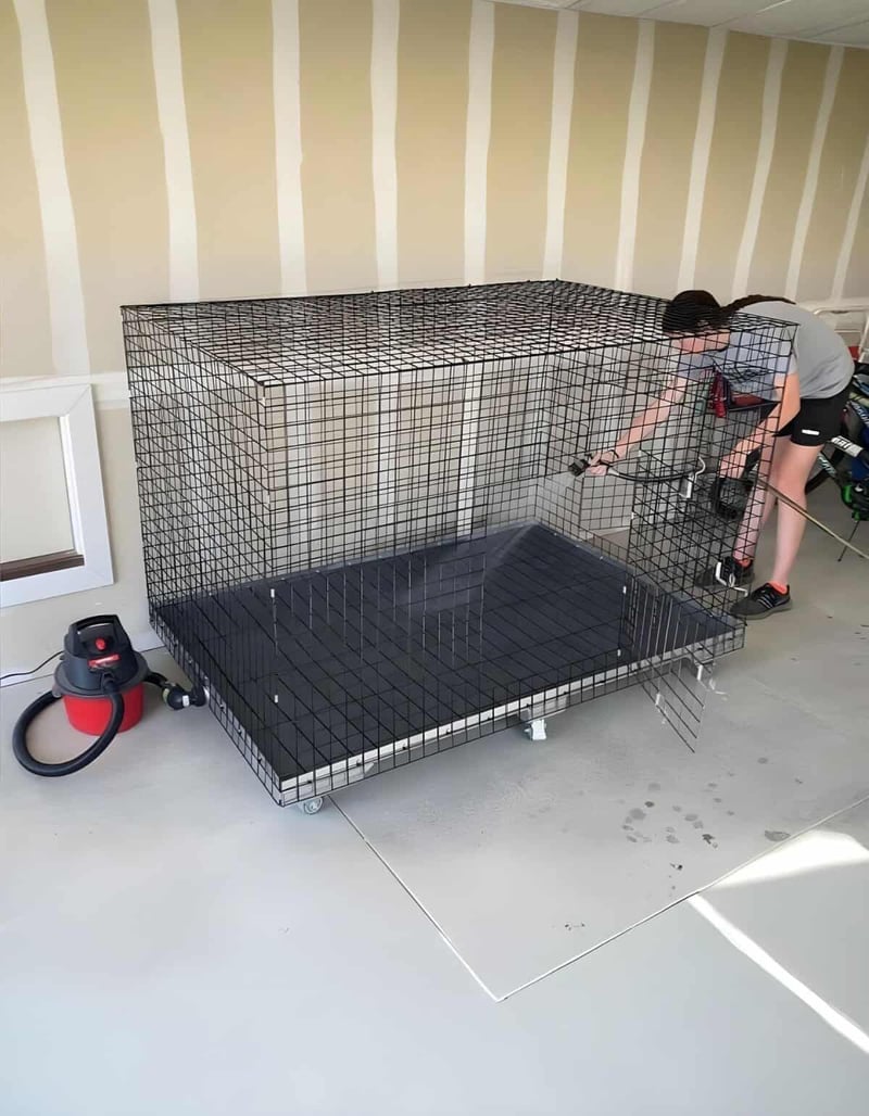 Durable black wire dog crate with spacious interior for pet safety and comfort.