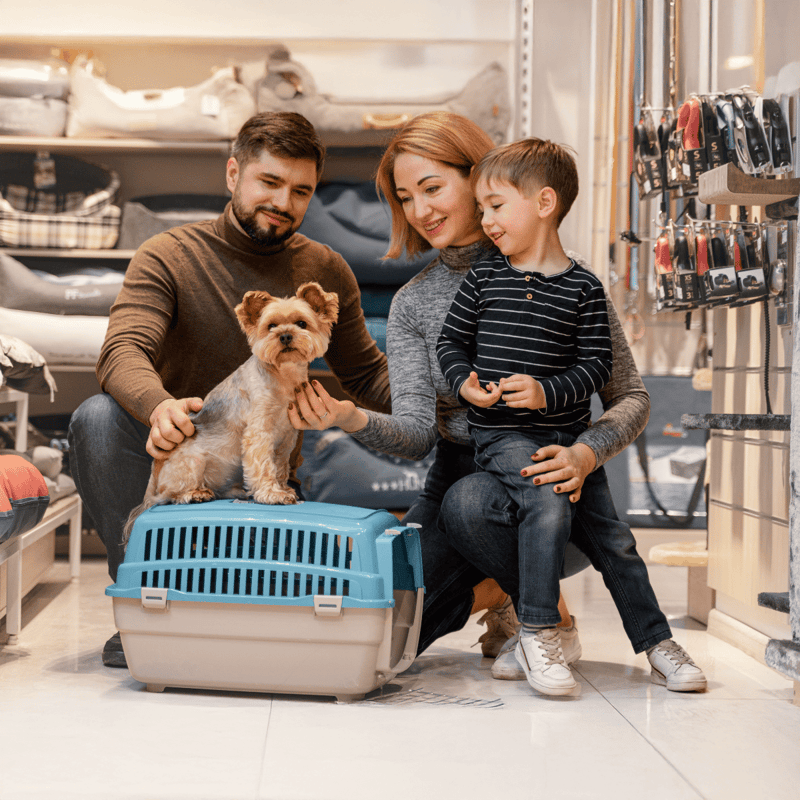 Doggy crate and accessories.