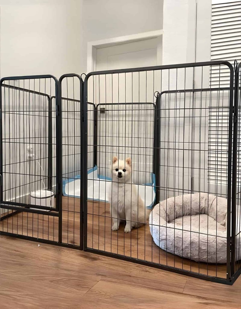 Portable dog crate with bed ideal for small or medium dogs’ safety.
