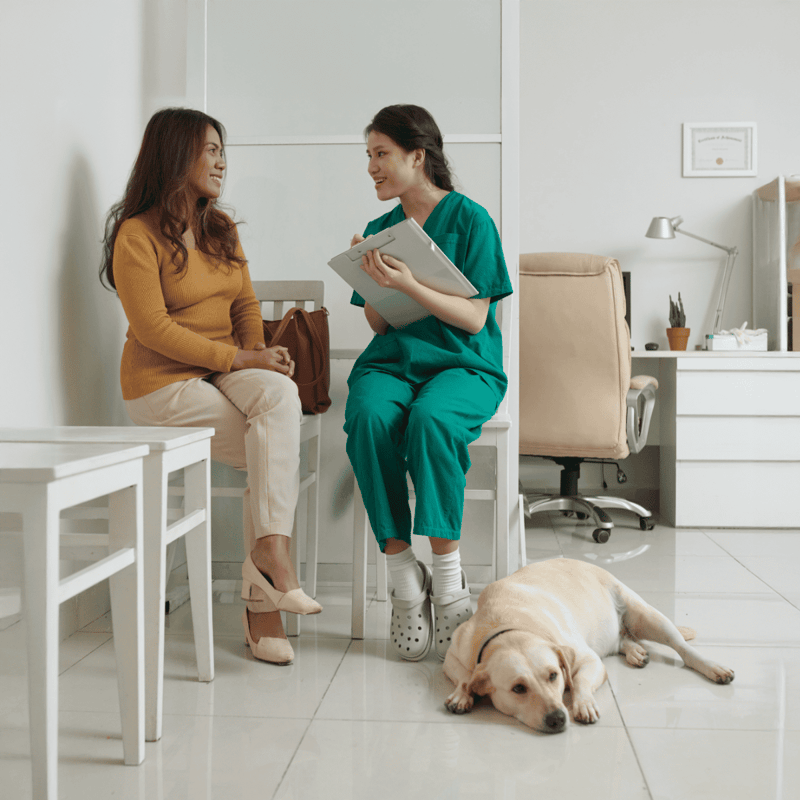 Alt: Veterinarian consulting with pet owner about dog health at veterinary clinic.
