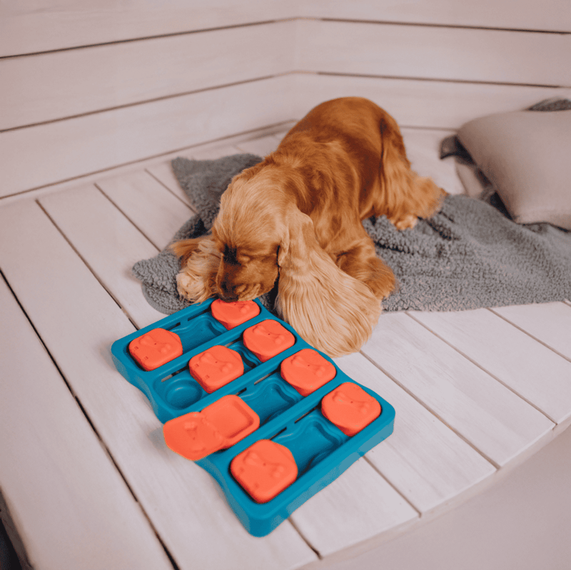 Dog puzzle toy with treat compartments for mental stimulation and fun.