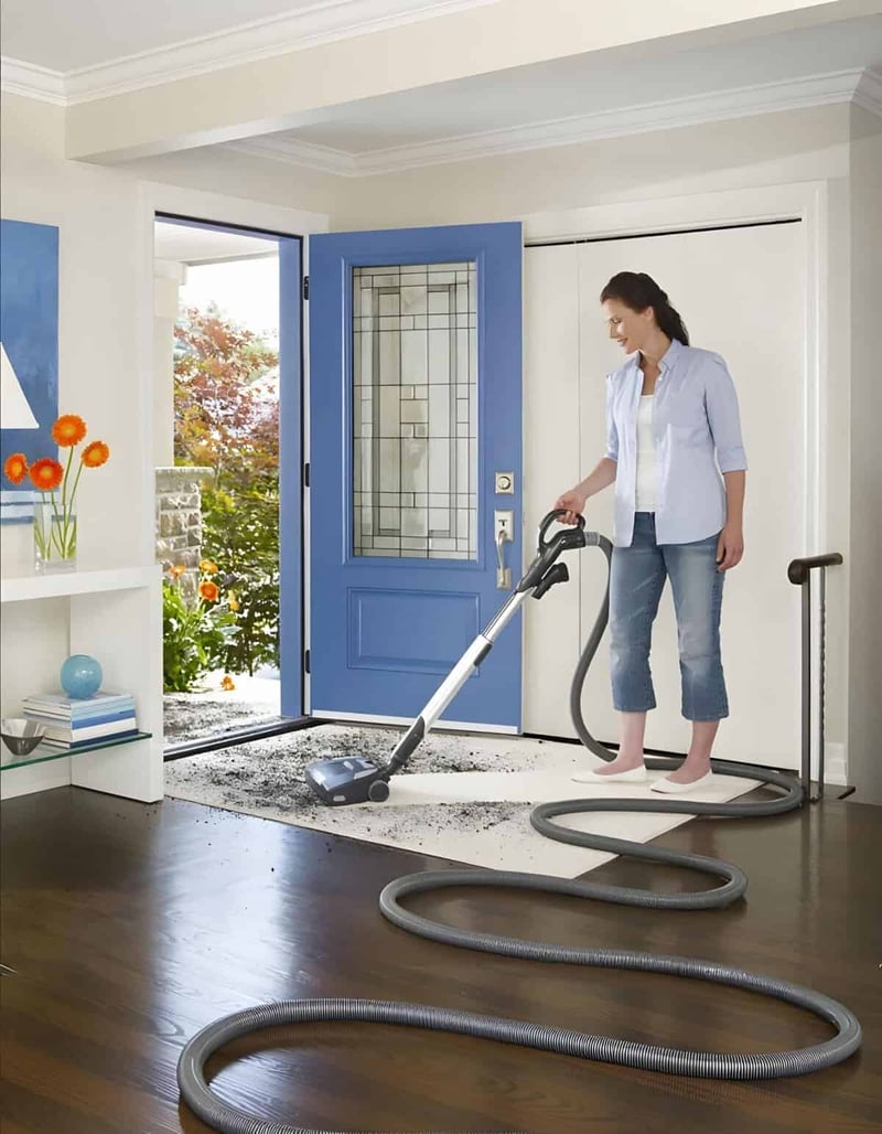 Dog cleaning service professional vacuuming pet mess.