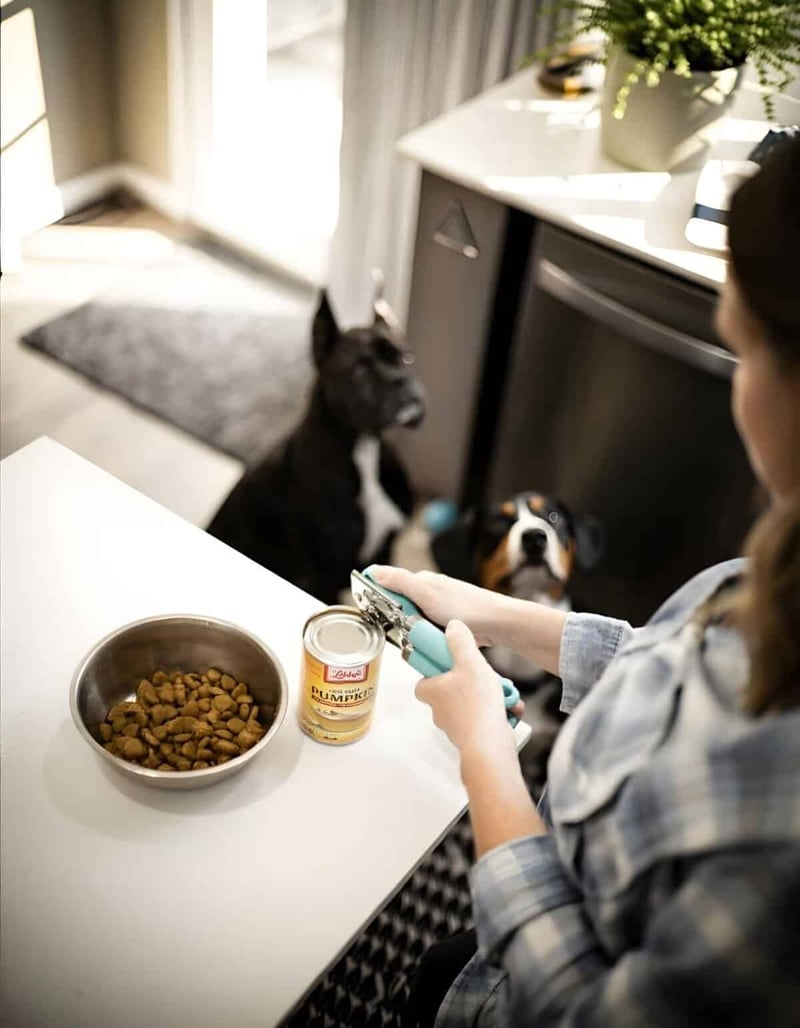 Owner preparing canned dog food for pets, two dogs eagerly waiting in the kitchen.