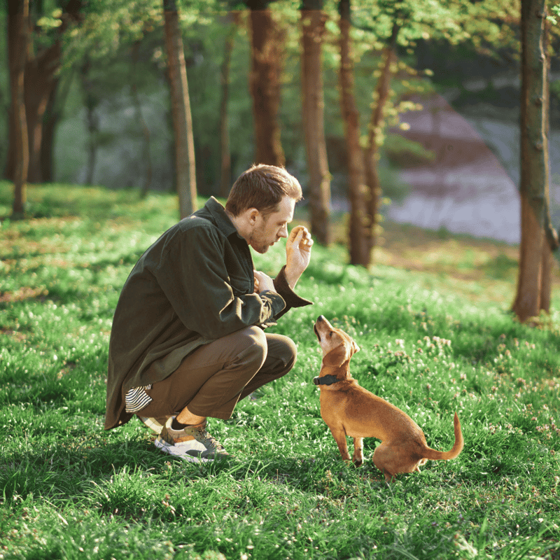Man crouching with a dog in a lush green park during daytime, engaging in play and bonding.