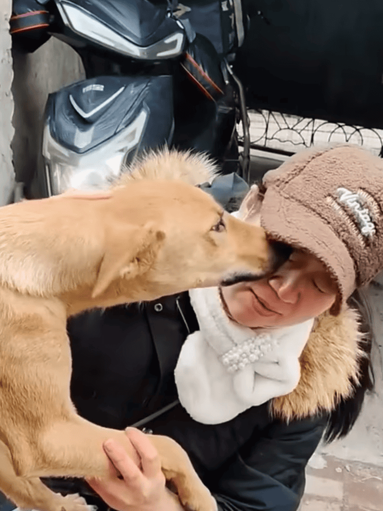 Close-up of a dog giving affectionate kiss to owner wearing warm clothing.