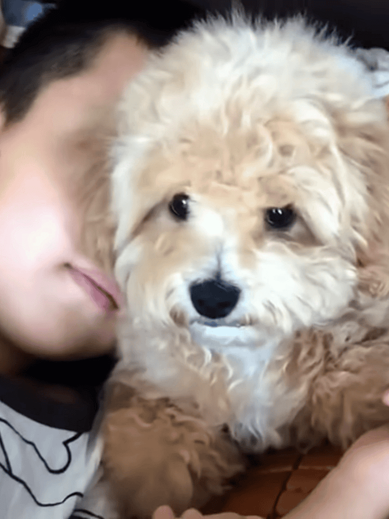 Close-up of adorable fluffy dog and owner.
