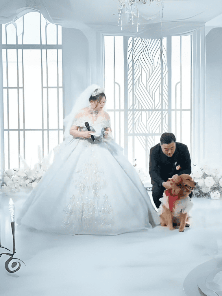 Elegant wedding with dog companion.