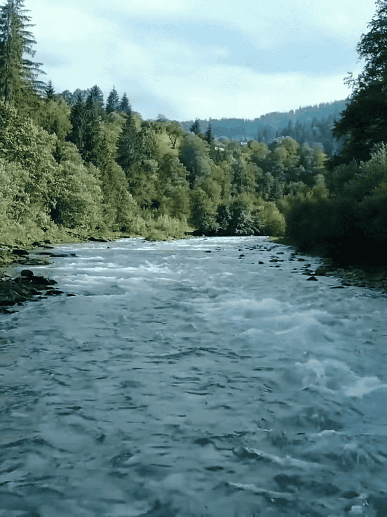 Scenic river surrounded by dense forest and mountains in natural outdoor setting.