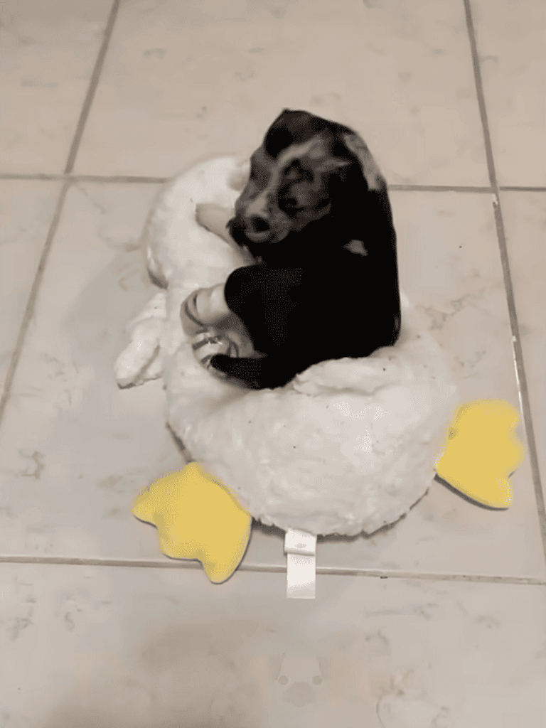 Adorable puppy snuggling on soft duck-shaped bed, ideal for small dogs, offers comfort and style.