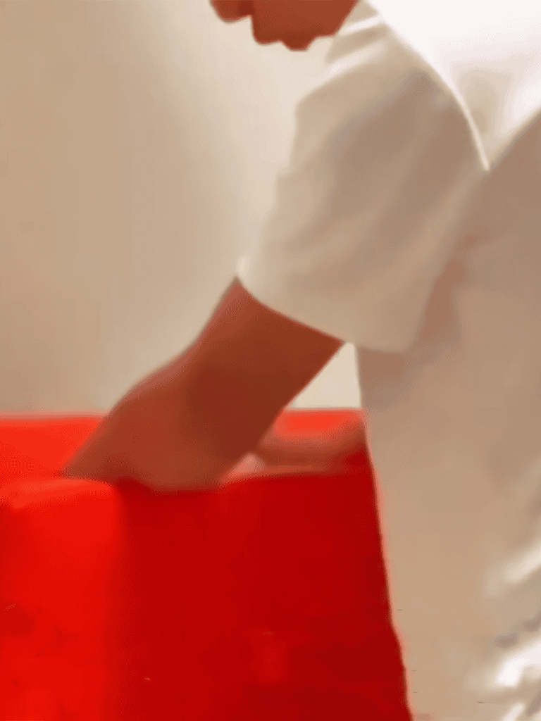 Alt: Close-up of a dog vaccination kit, pet health care, safe vaccination procedure.