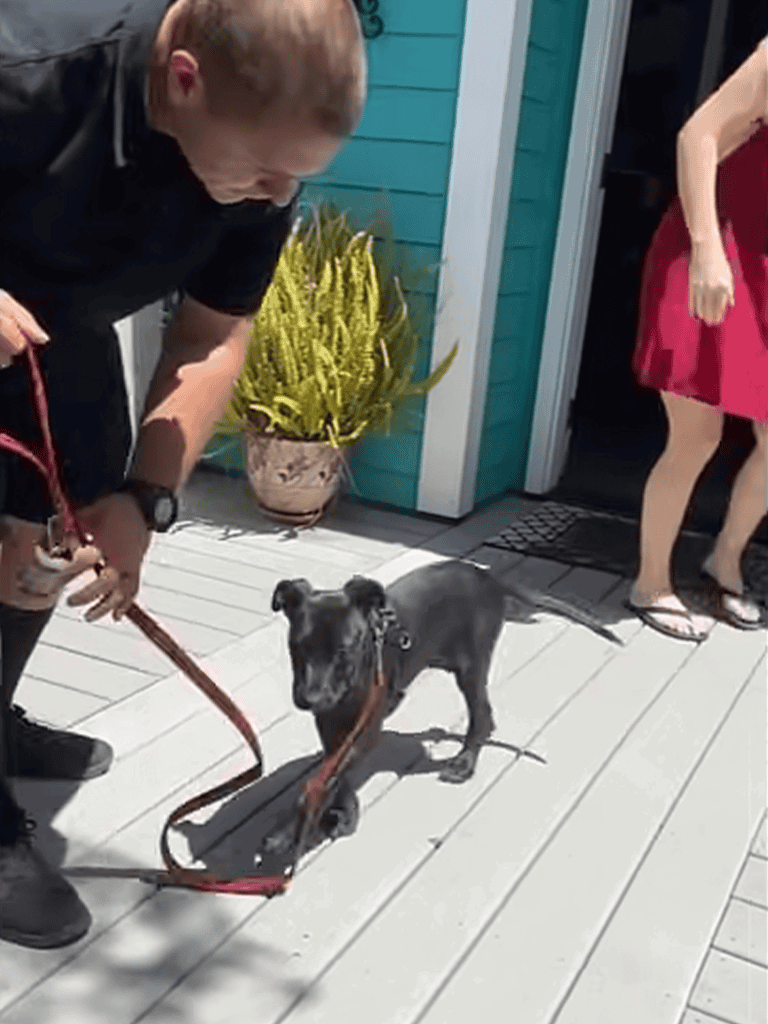 Dog training with a small black puppy on a leash outside a house.