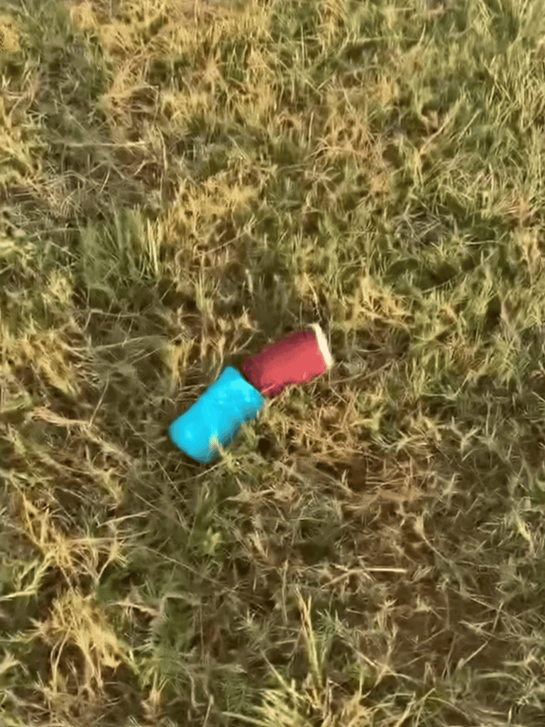 Colorful rubber dog toy lying on grass in outdoor setting, perfect for pet play and enrichment.