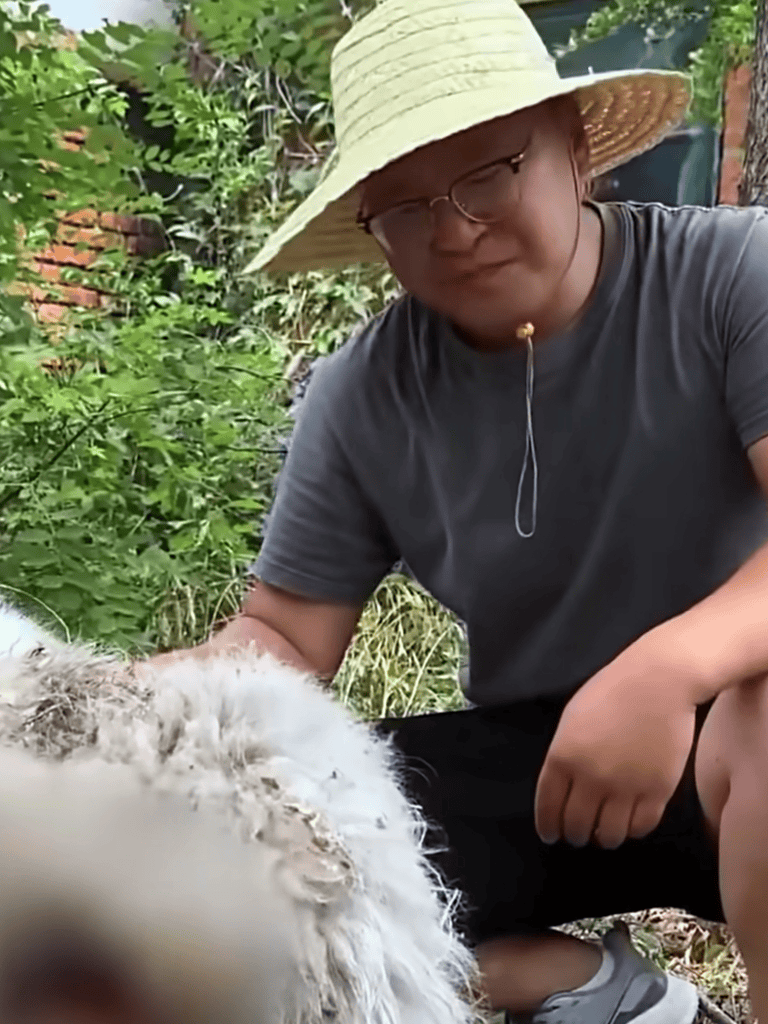 Dog grooming, pet care, dog spa, grooming salon, dog grooming near me.