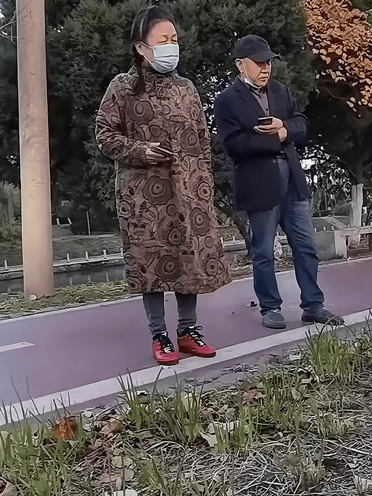 Comfortable outdoor street scene with two people, woman and man, using their phones near greenery.