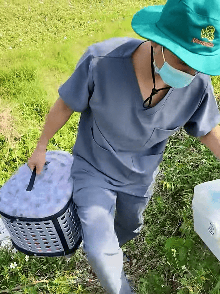 Pet transport, animal rescue, outdoor dog care, volunteer helping animals.