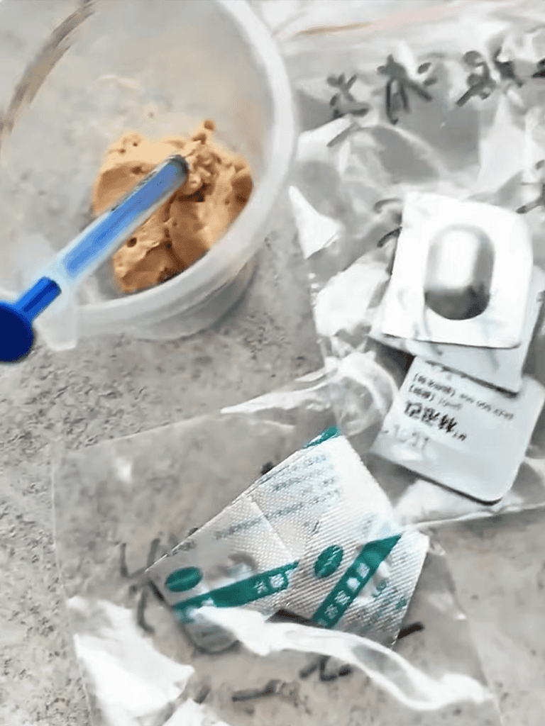 Close-up of pills and medication for dogs, including a syringe and blister pack, on a grey surface.