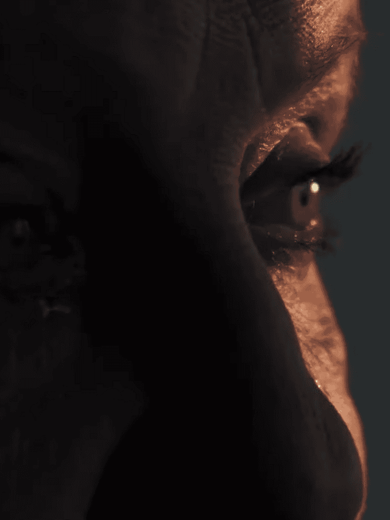 Close-up of a dog's face in dim lighting highlighting expressive eyes and textured fur.