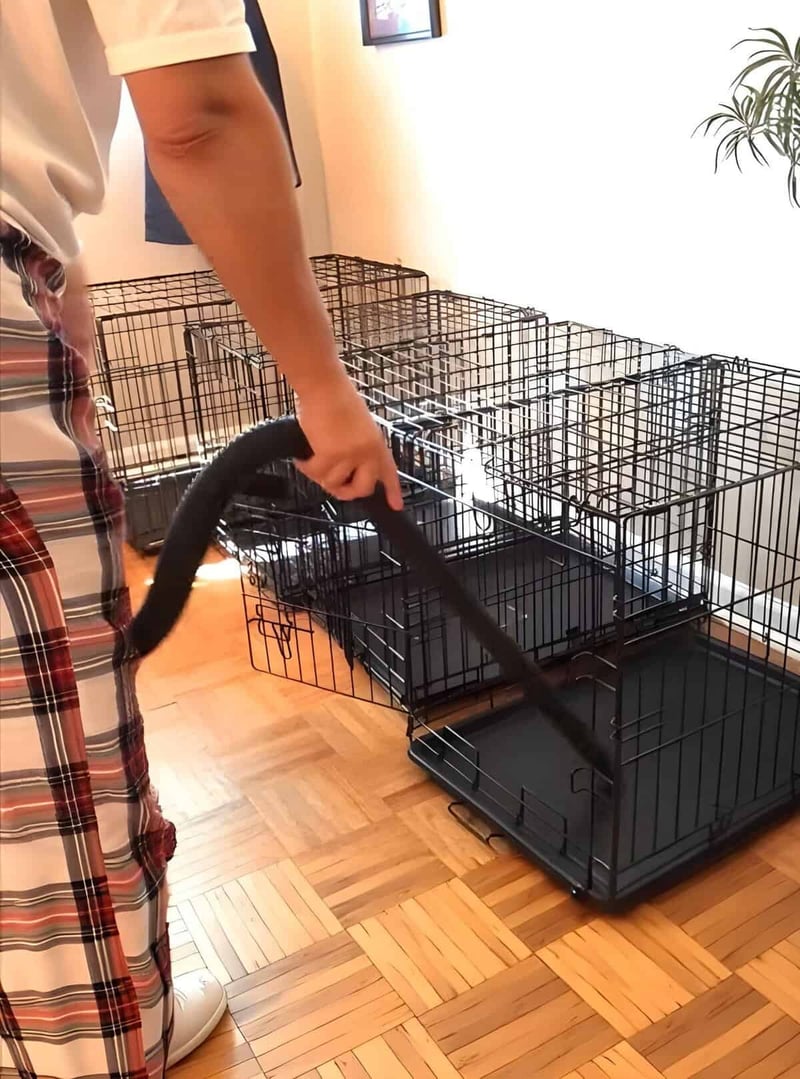 Versatile dog crates for safe pet containment.