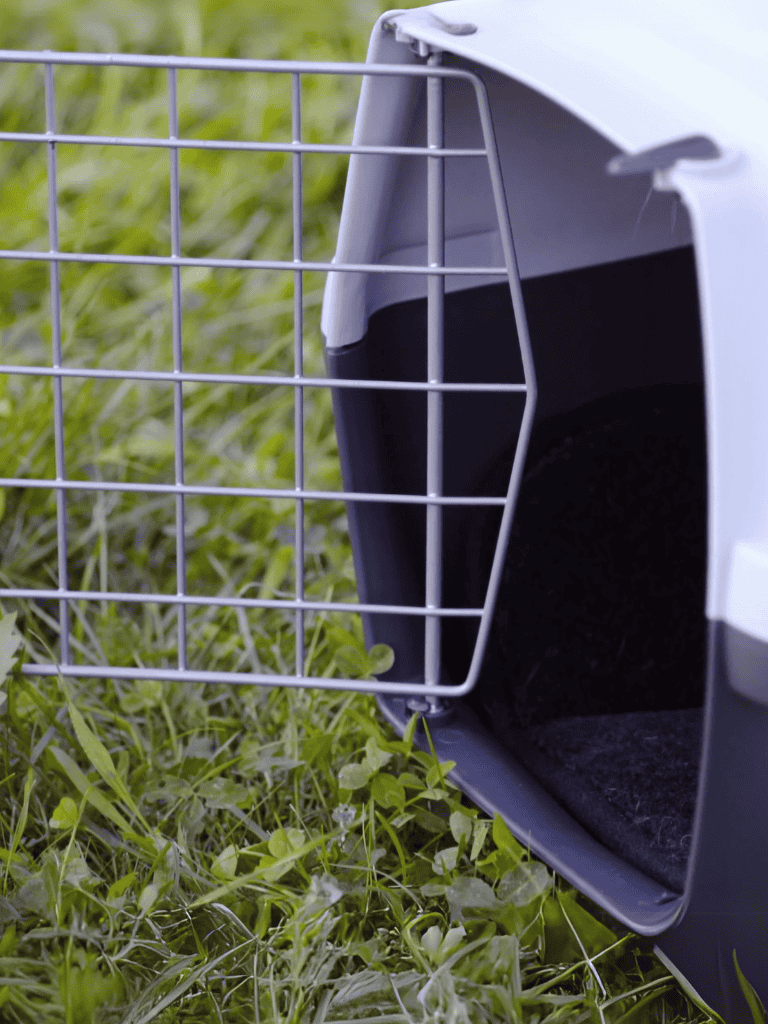 Durable black and white dog crate with open door on grass.