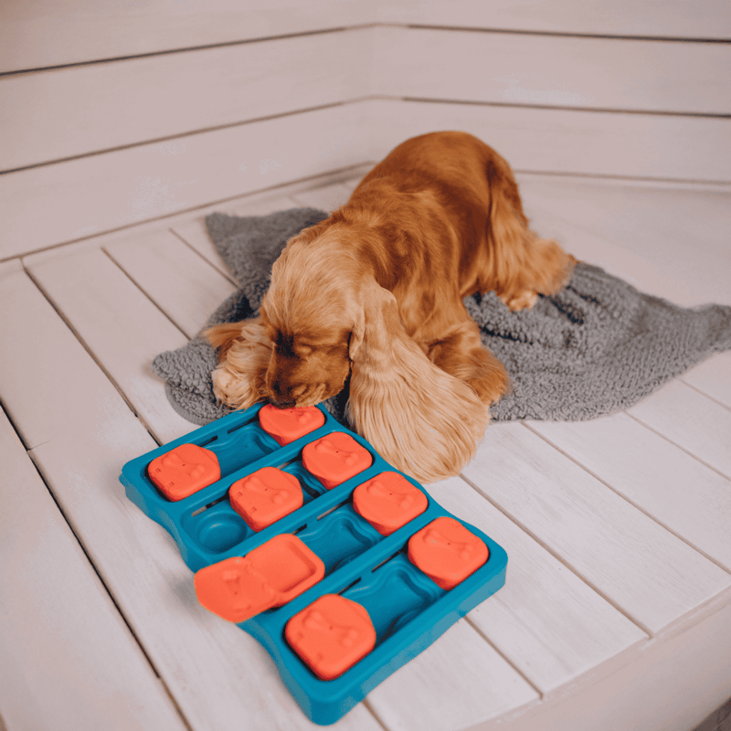 Dog playing with a treat-dispensing puzzle toy.
