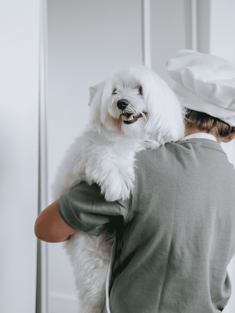 Dog grooming service for happy, healthy pets | Expert grooming for your dog at Dogfix.com.