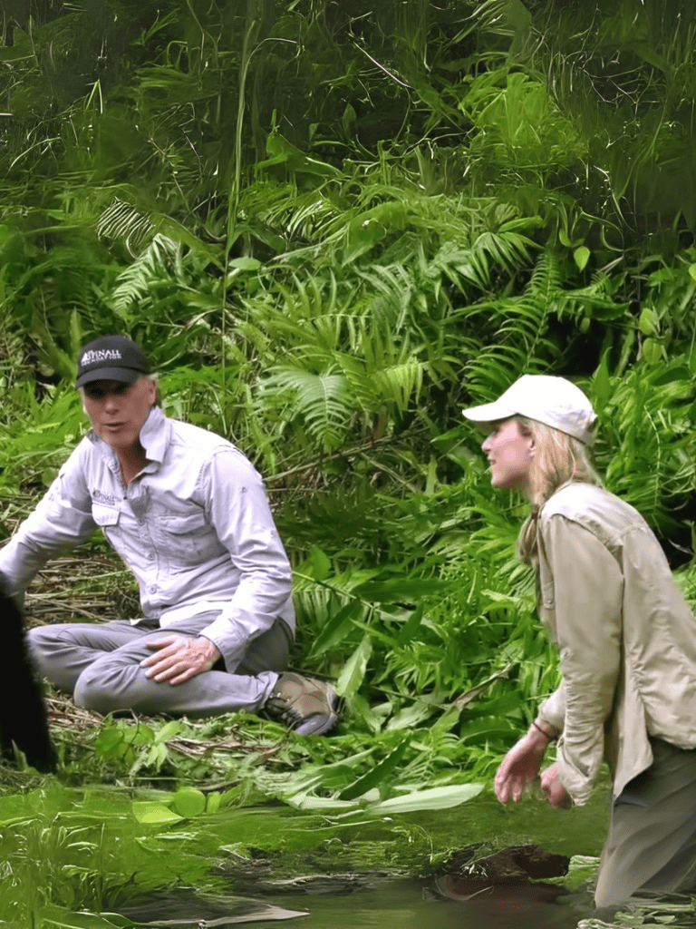 Rescue team members carefully assist an animal in dense greenery, ensuring safety and conservation.
