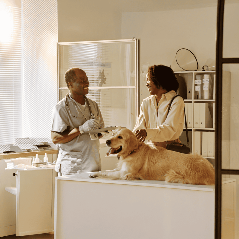 Friendly veterinarian and pet owner in clinic with happy golden retriever.