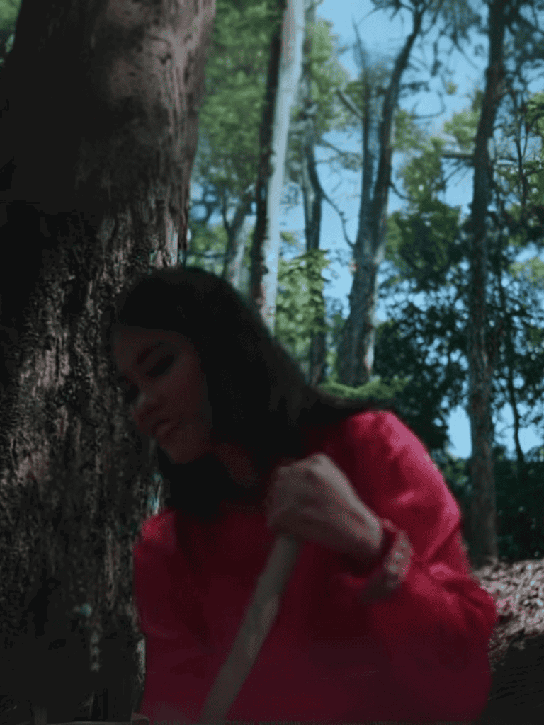 Dog rescue holding onto a tree in a wooded area.