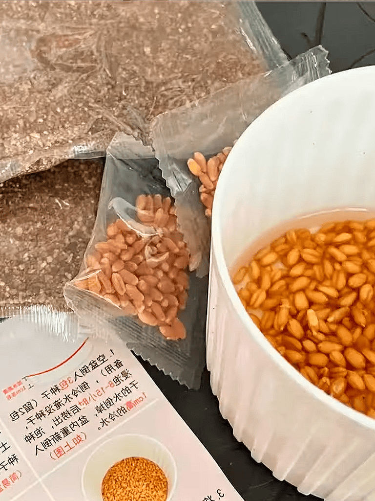 Dog treats with baked wheat and seeds.