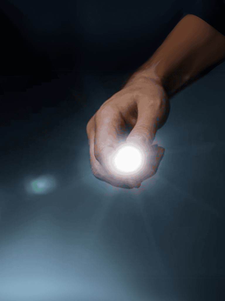 Hand holding a bright flashlight illuminating a dark area, related to dog health and training insights.