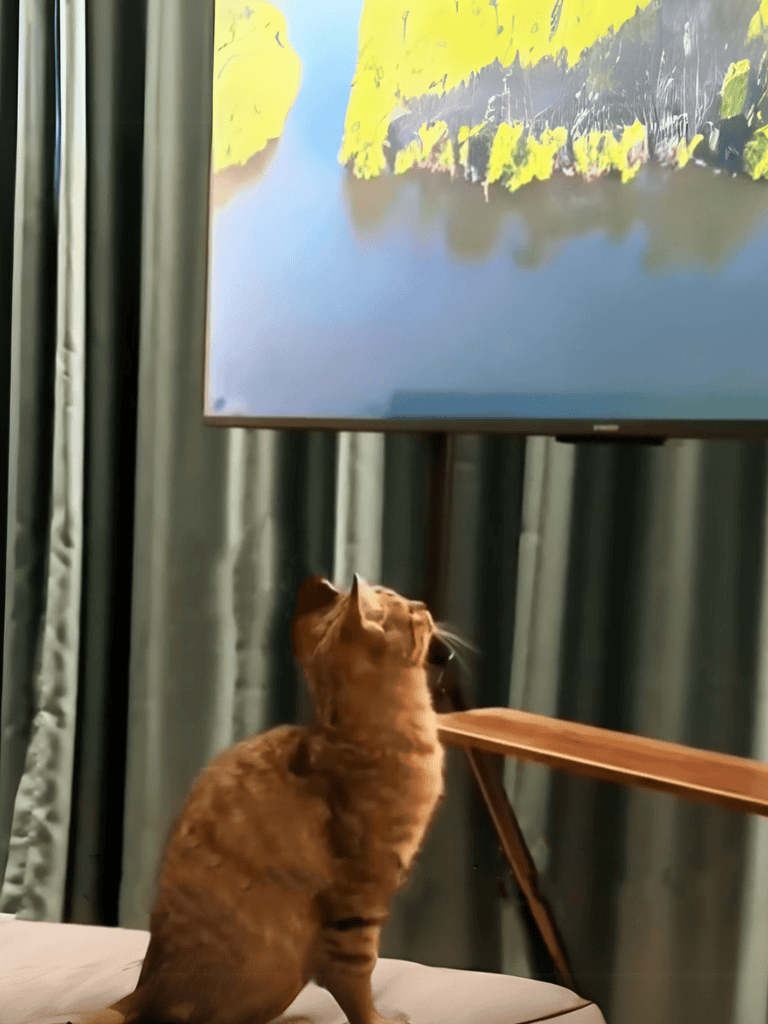 Adorable tabby cat watching TV in living room.