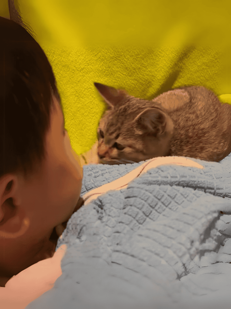 Close-up of a curious cat and a child's face interacting gently on a soft blanket.