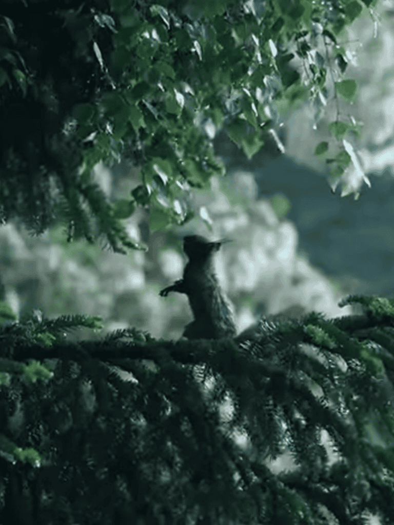 Rainy forest scene with dense green foliage and a tiny perched squirrel.
