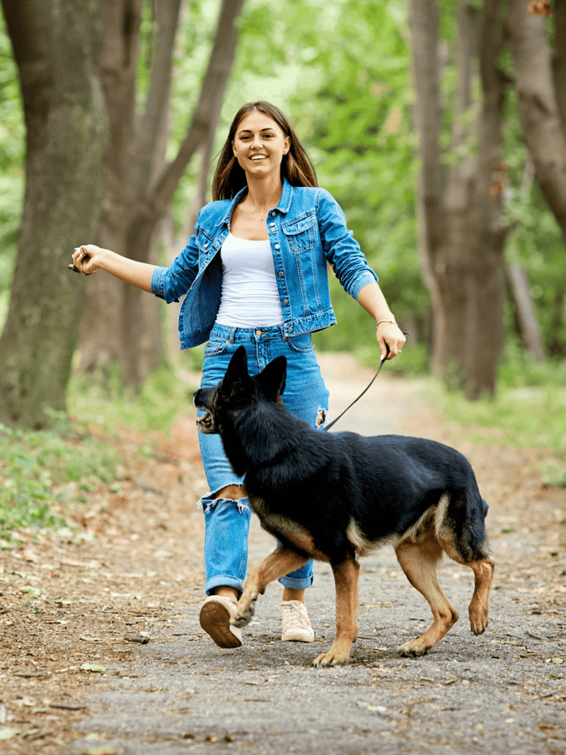 Dog and owner enjoying outdoor walk together.