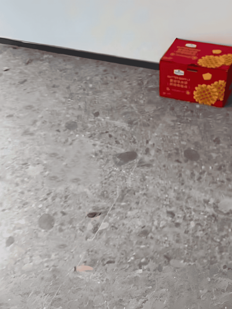 Dog chew toy and treat on floor.