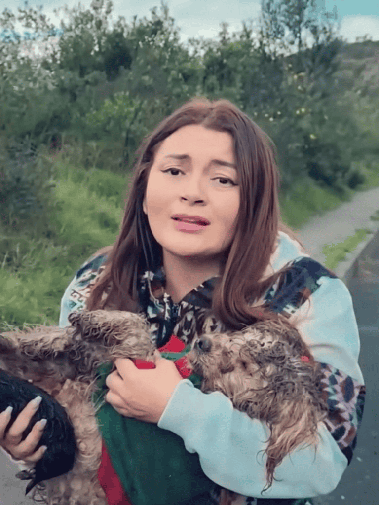 Friendly dog with puppies outdoors on a walk.