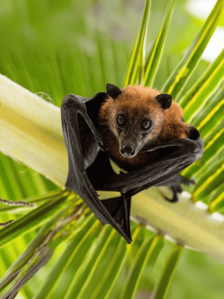 Bat hanging from a tree branch at night in a lush jungle setting.