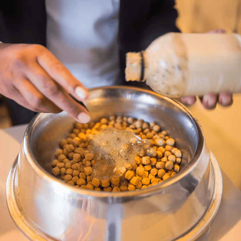 Dog food being prepared with nutritious ingredients in a metal bowl.