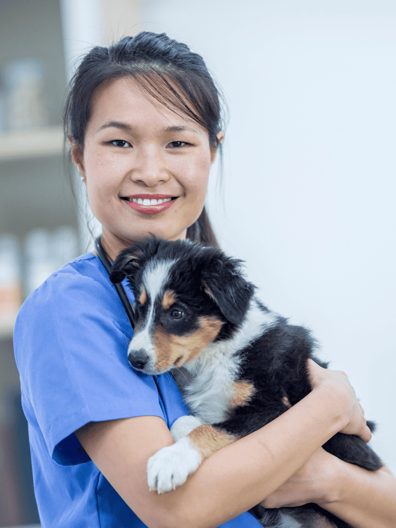 Cute puppy being held by happy veterinarian.