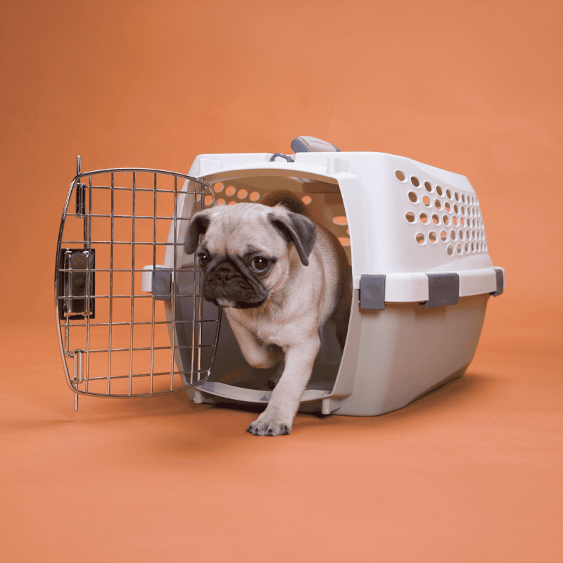 Compact dog crate for safe and comfortable transportation of small dogs.