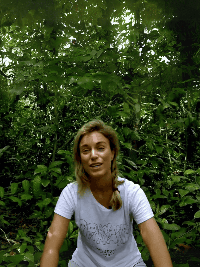 Lush Jungle Exploration.